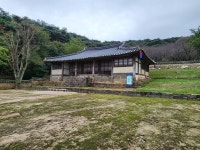 [사진] 결성 옛 동헌에 핀 가을 벚꽃