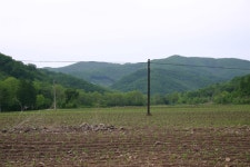 초기 항일독립전사 양성소였던  백서농장을 아시나요
