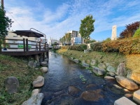 밀양사람 김원봉 그 기개 어디서 나왔나 했더니