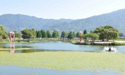 박경리 소설 토지 속 배경이 눈앞에... 지금 가야 합니다