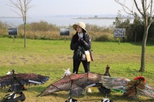 자전거로 삽교호·예당평야·소들섬을 잇는 일렉트립