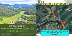 천연기념물 수리부엉이 사는 마을에 태양광 발전?... 안 돼