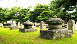 왕실 아기씨와 나라의 복을 기원하는 수호천사들의 수난
