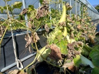 구례의 마지막 계절, 인심 후한 땅에서 얻은 것