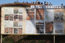 고성송학동고분군 14호분 발굴, 가야권역 최대 확인