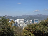 새로 생긴 남산 숲길, 여기서 꼭 한 번 뒤돌아보세요