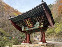 [시니어그룹] 무작정 찾아간 경북 봉화 청량사 단풍, 오길 잘했다