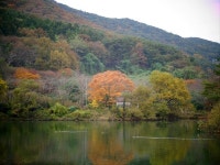 경남 창원시 적석산이 이렇게 좋았나
