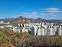 [시니어그룹] 낙엽 밟으며 편하게 걷고 싶다면 여기가 딱입니다