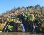 [시니어그룹] 낙엽 밟으며 편하게 걷고 싶다면 여기가 딱입니다