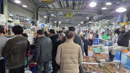 겨울을 데우는 맛, 주문진 도루묵의 계절