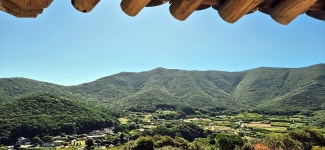 차원이 다른 보길도 명물, 왜 꼭 가보라는지 알겠다