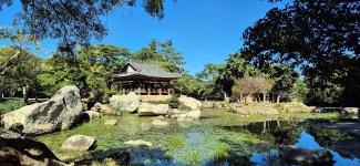 차원이 다른 보길도 명물, 왜 꼭 가보라는지 알겠다