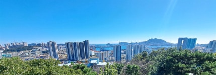 부산진성을 점령한 왜군이 남긴 몹쓸 유산