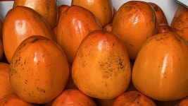 임실에서 하동까지, 열차 여행을 떠났습니다