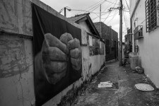 [사진] 재개발로 비워진 골목에서 만난 색다른 풍경