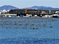 아름다운 것을 본 죄, 알게 되면 지키고 싶어진다