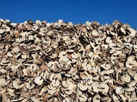 아름다운 것을 본 죄, 알게 되면 지키고 싶어진다