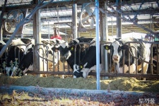 인구 3천명 작은 농촌서 청년·여성·아이 웃음 끊이지 않는 비결