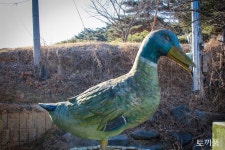 인구 3천명 작은 농촌서 청년·여성·아이 웃음 끊이지 않는 비결