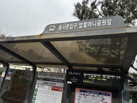 430년 전 여성 의병장의 지혜, 동네 산책길로 피어나다