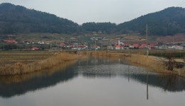 섬으로 유배 온 화가가 마을 사람들에게 선물한 것