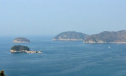 [사진]  바다 산책 후 뜨끈한 시락국, 통영의 맛입니다