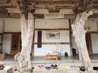 화엄사 홍매화 보러 간다면, 이 오솔길도 올라보세요