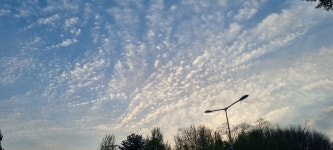 용산아트홀에 울려퍼진 밤의 여왕 아리아