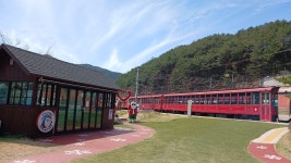 봄에 크리스마스 만끽하기, 경북 봉화에서 가능합니다