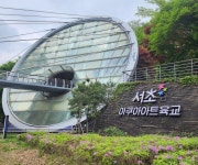 [시니어그룹] 남부터미널역에서 5분, 걷기만 해도 힐링되는 곳