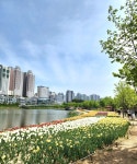 주차 전쟁 피해서 하남에 꽃 구경 오세요
