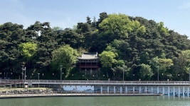 남원 솔바람 숲길 따라 역사 산책하던 날