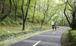 5·18사적지 따라 '전남오월길' 여행을