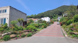 불로초 찾아 지리산까지, 바로 이 봉우리라네요