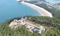 보령 해저터널 이후 완전히 달라진  원산도