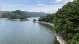 출렁다리 건너 만난 붕어섬 산책로의 숨은 이야기