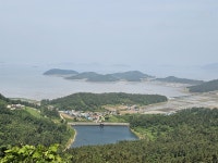 장산도에서 1박, 섬 한복판에서 만난 하얀 정원