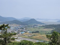 장산도에서 1박, 섬 한복판에서 만난 하얀 정원