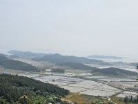 장산도에서 1박, 섬 한복판에서 만난 하얀 정원