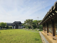 장산도에서 1박, 섬 한복판에서 만난 하얀 정원