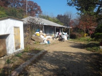 개표 방송 보고 화 나 우체국 앞에서 노래 부르기 시작한 남자