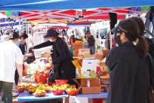 Foto aus Naver-Suchergebnissen 5