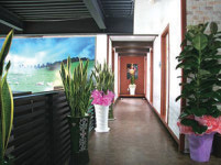 [맛집 & 멋집] 담백한 양고기의 향 ‘솔솔’