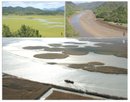 [녹색 생태관광] 여행의 새 패러다임…‘지역 성장 모델 부각’