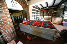 [Winery Tour] 크로아티아 여행의 백미 달마시아 해안과 부속섬 나들이