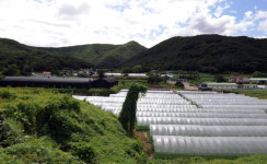 숨겨진 ‘조상 땅 찾기’…등기의 흐름을 주목해야