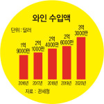 신세계, 소주 접고 와인 키운다…홈술 붐에 살아난 ‘와인앤모어’