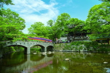 찬란한 공주 문화가 다시 꽃피운다 [지자체장 24시]