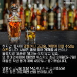[카드뉴스]MZ세대 소비 트렌드, 무지출 챌린지로 생활비 아끼고 명품 구매한다